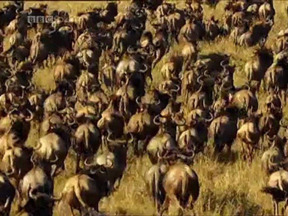 The.Secret.Life.of.Chaos.