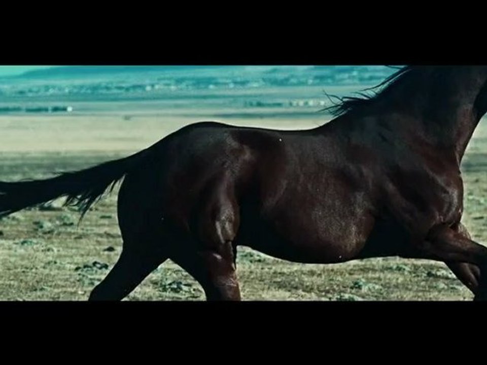 Rihanna - Diamonds (HD) Music Video