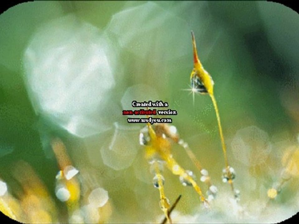 تحذير الشيخ عبيد من الرمضاني