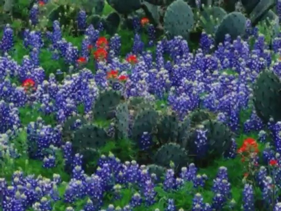 aiche maak kima bghita