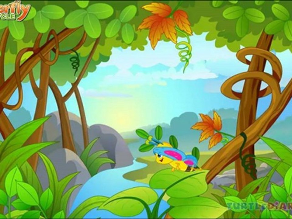 Butterfly Life Cycle