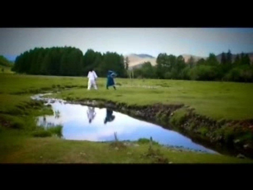 Hoshin shog-Tanihgui chigeeree