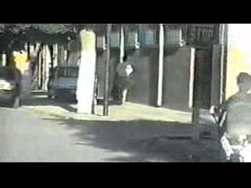 Sig bladi Tasacora sig web (TSW)