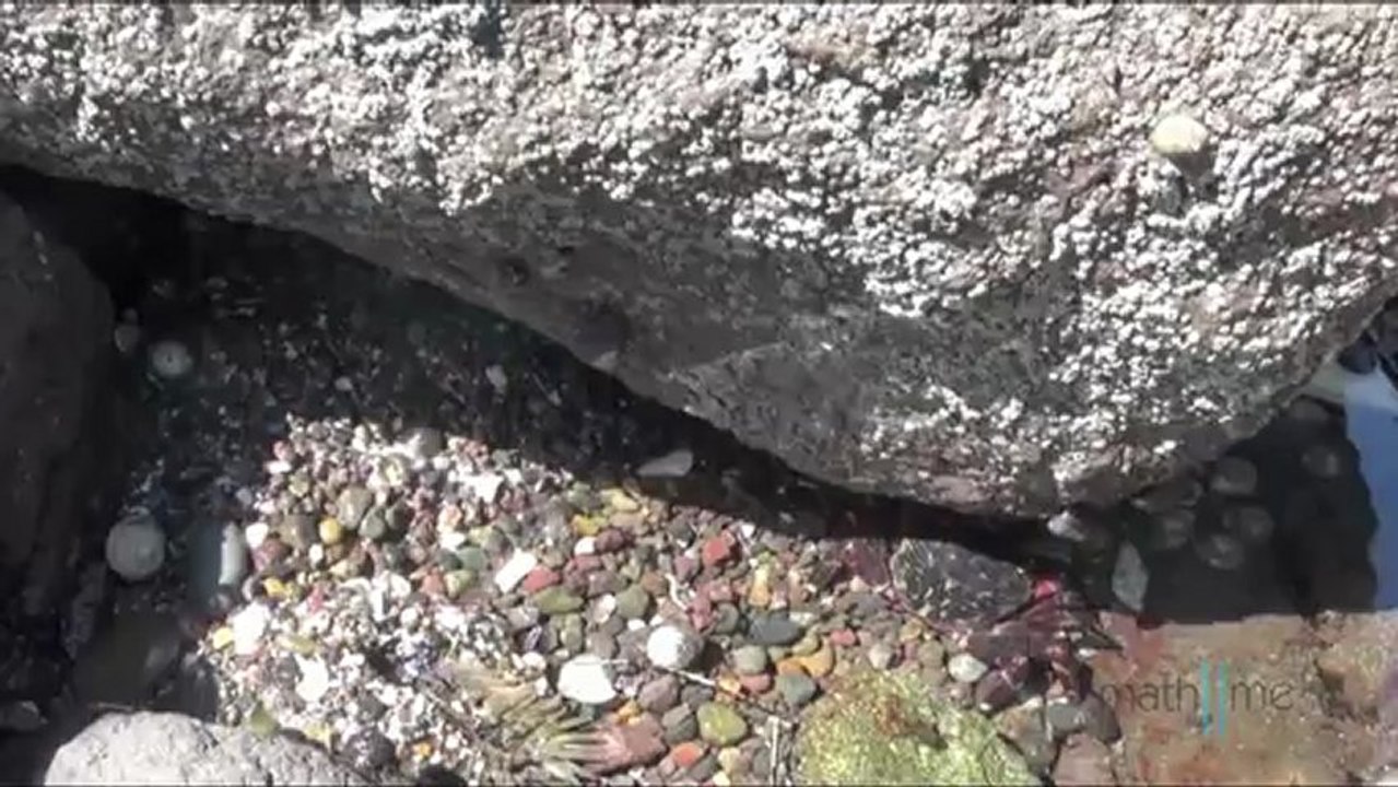 La importancia de las matemáticas para solucionar problemas relacionados con el mar