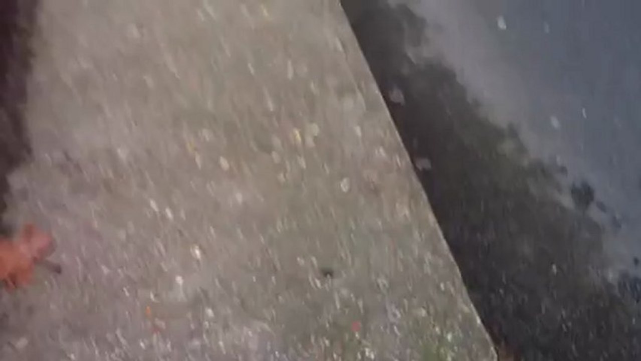 Act Up titille la manif pour tous