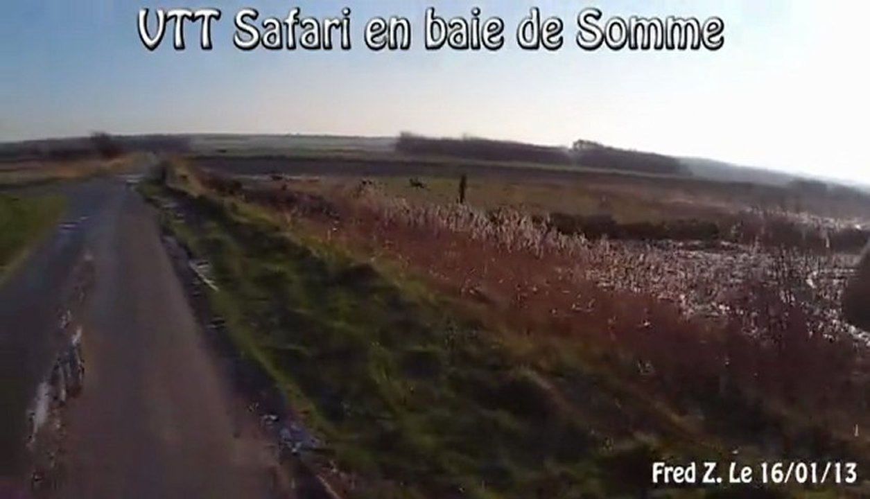 fred et les antilopes c pas du  porno !!!