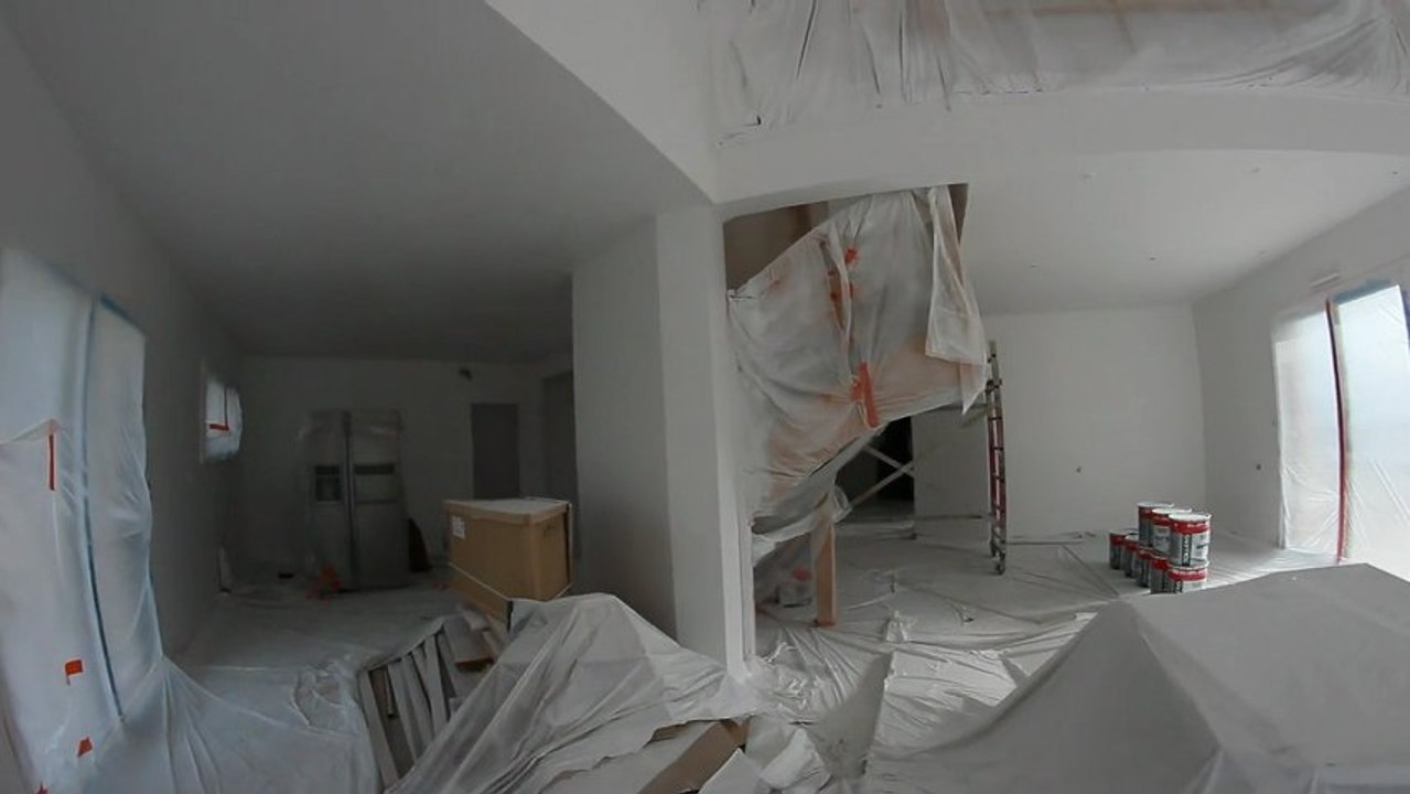 White Paint by Tollens: Brick & Plaster Finish