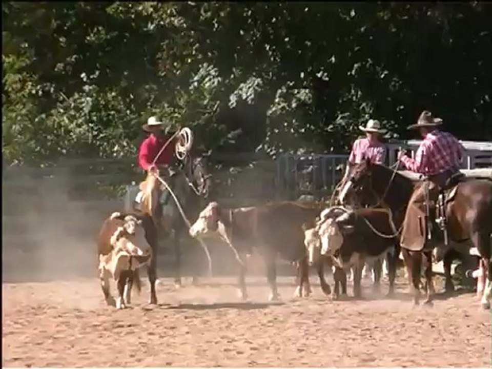 Cheval de Ranch 6°Ranch Roping