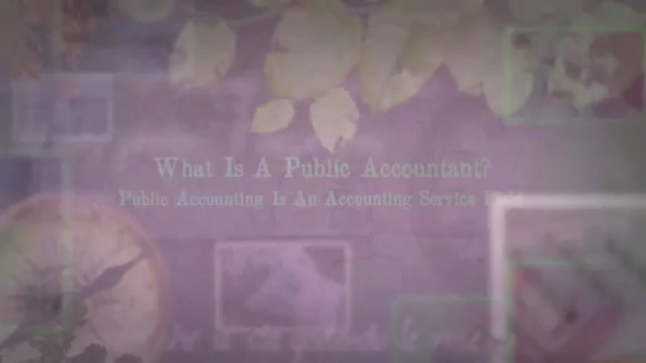 What is a public accountant