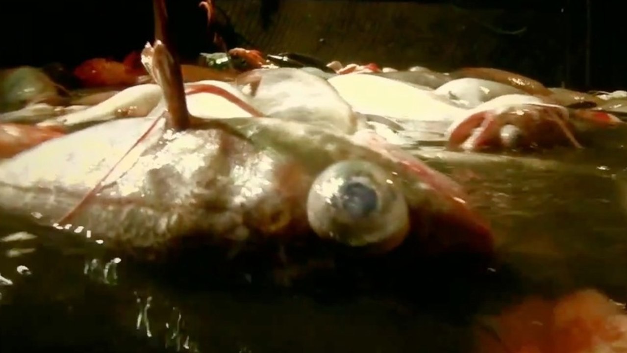 Leviathan Film Review