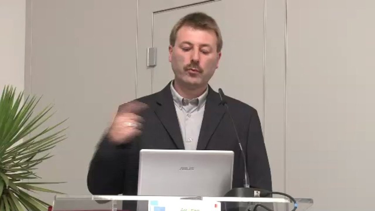 Les différentes formes de l’individualisation (Stéphane VINCE)