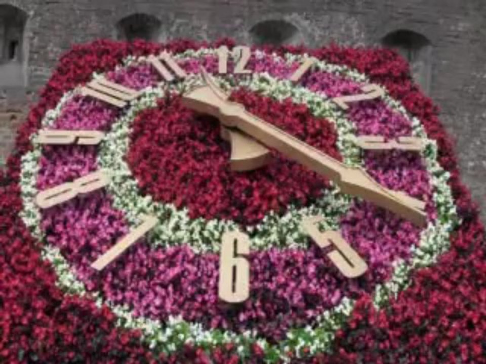 Europe Is More Than Football 2012: SVE Ukraine Project Overview