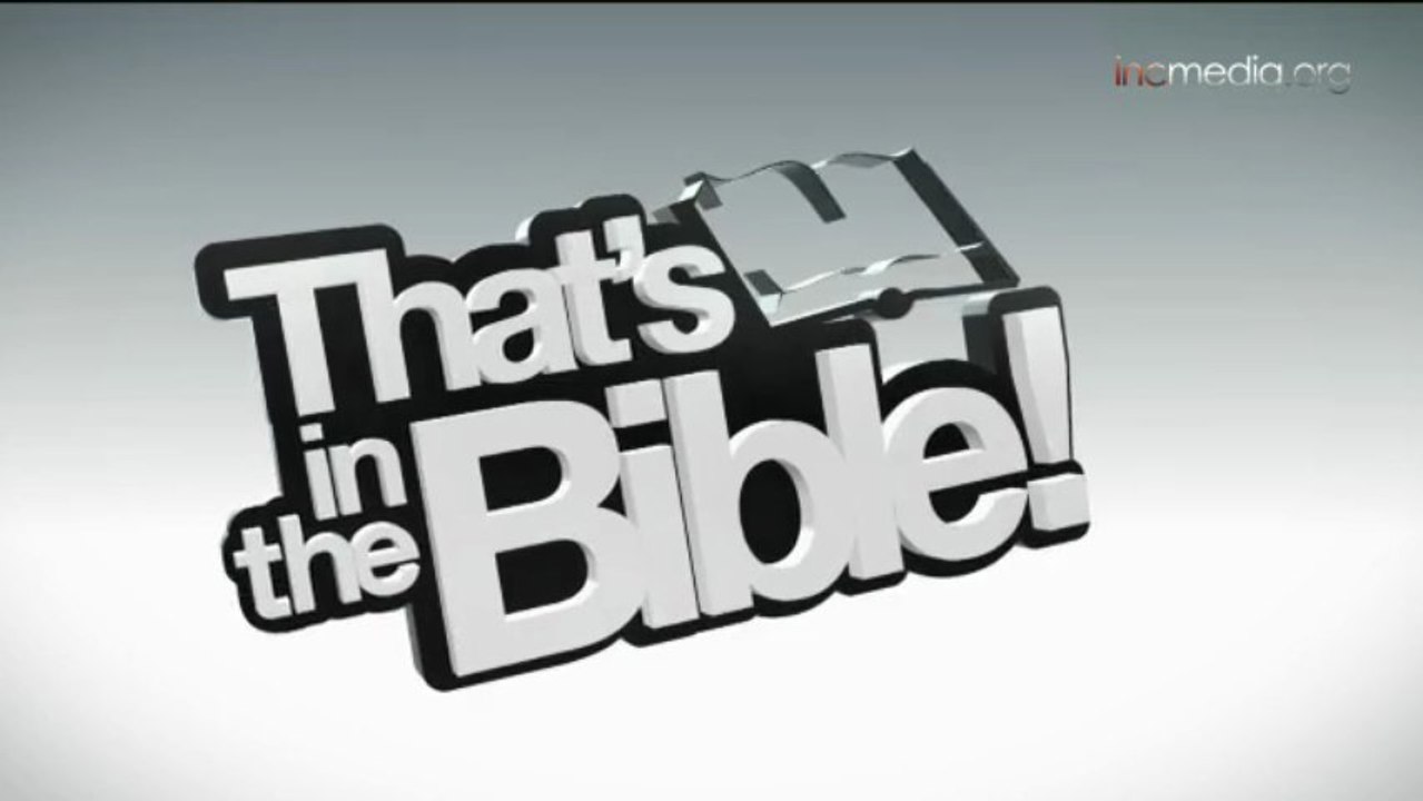 Discover the True Meaning of Life: Insights from the Bible and Beyond ✨