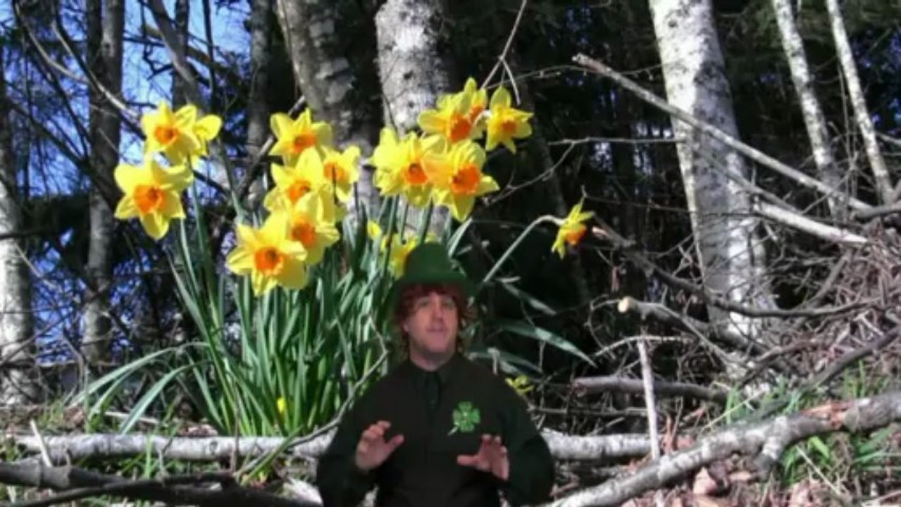 Spa Filters Canada Hot Tub Filter