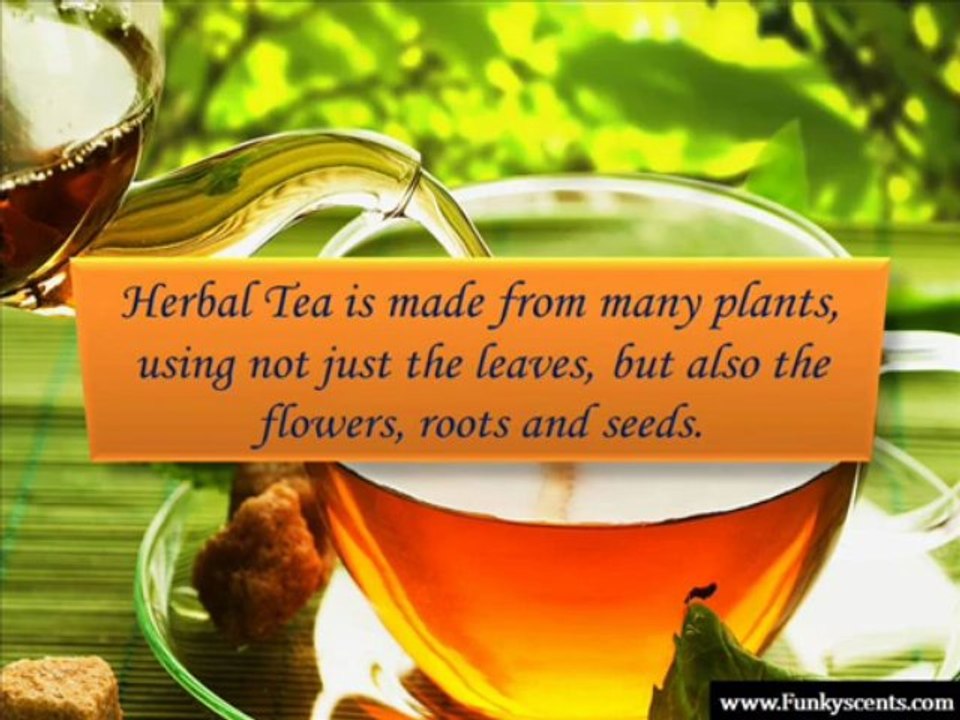 Types of herbal Tea