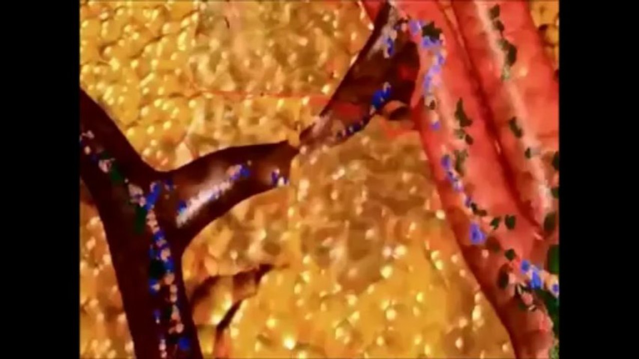 How Ultrashape Works Explained