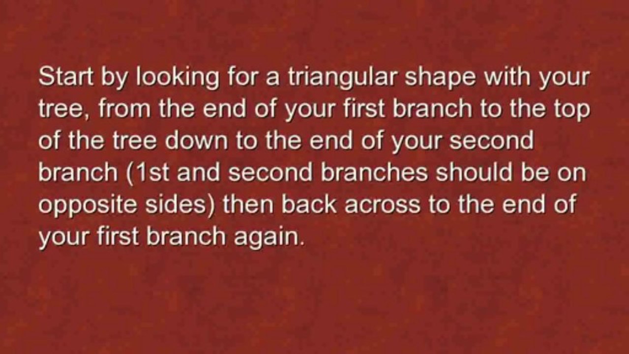 Getting Started With Bonsai