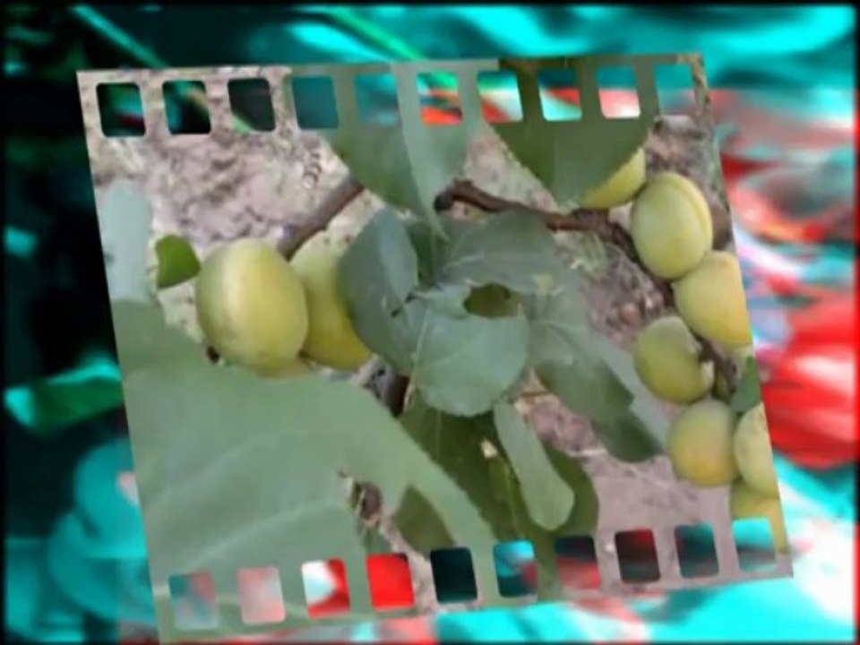 SoMe CrEaTiVe WoRk By Rj Asfandyar Khan