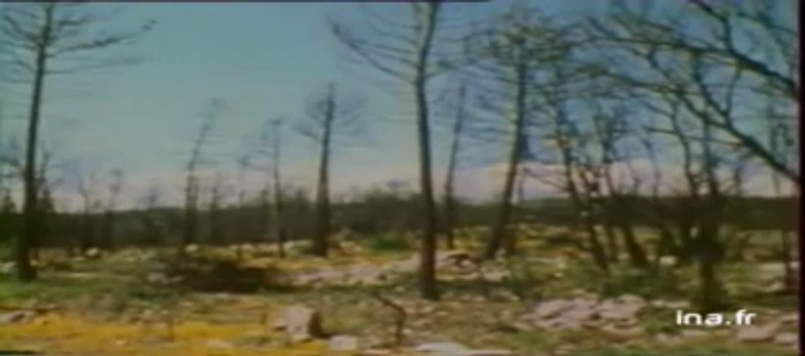 Vidéo Ina , vidéo L'énergie  des végétaux, vidéo   Ina.fr