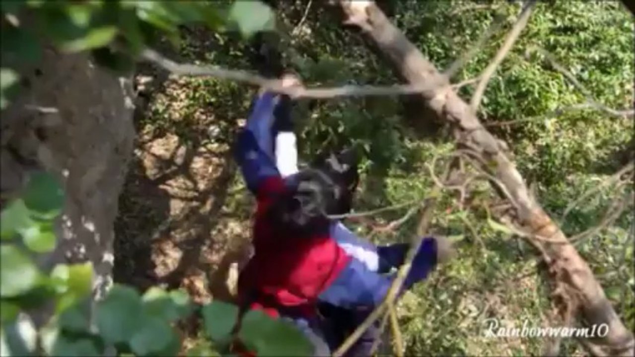 Gu Family Book - Blue MV | Stunning Visuals & Music