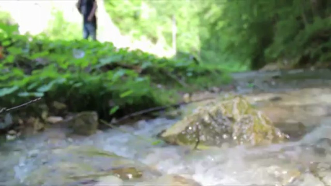 BRAN 2013 Conference Highlights