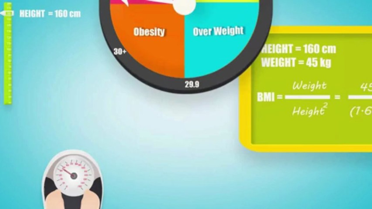 BMI Calculator For Women And Men & What Is BMI ?