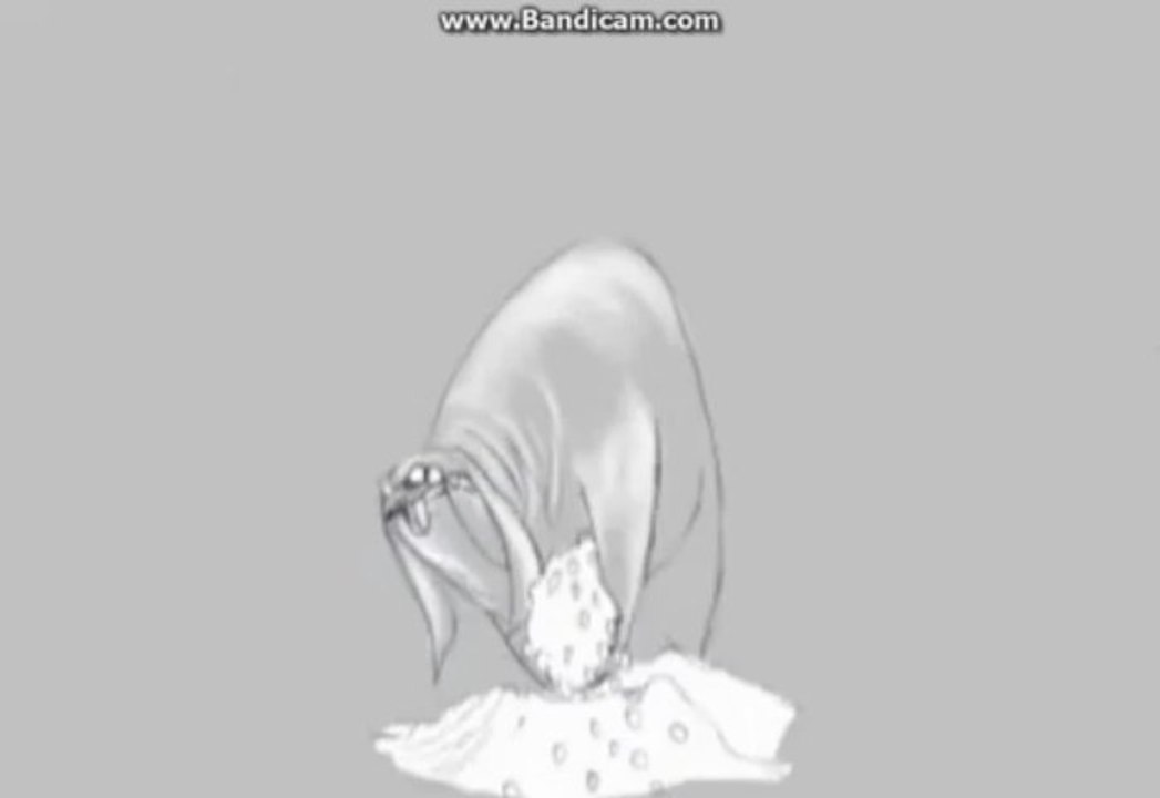 2D Animation: Opening Coin Scene 🎬