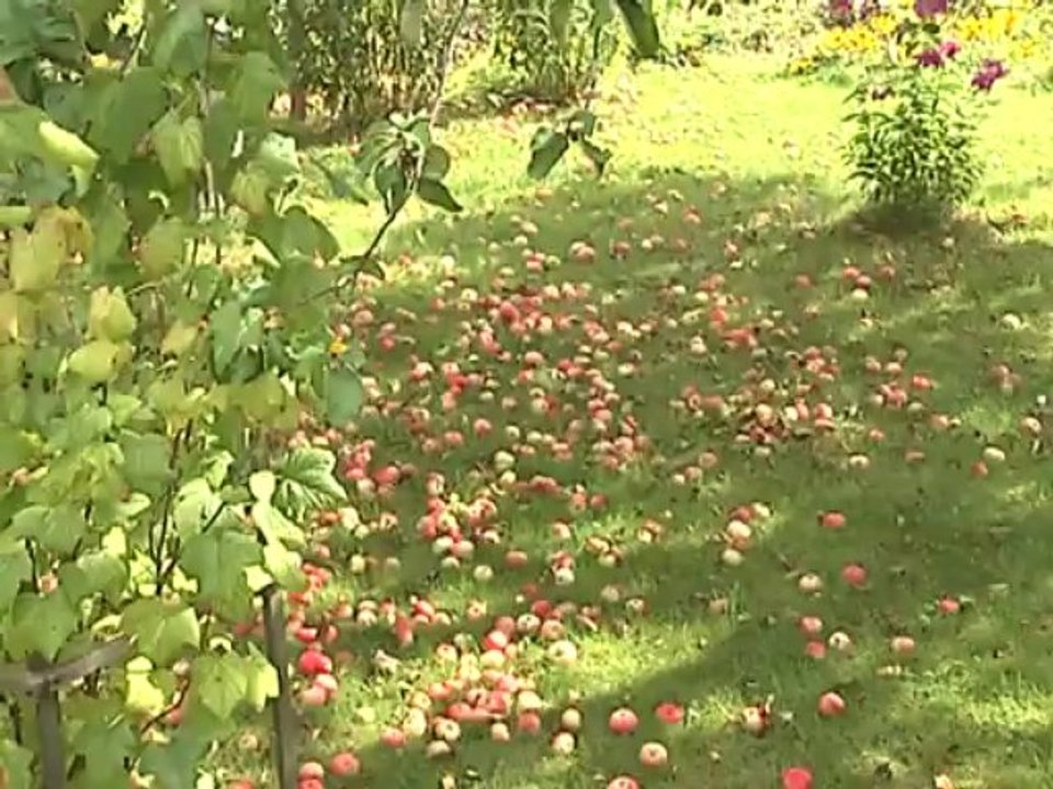 Осень уже наступает