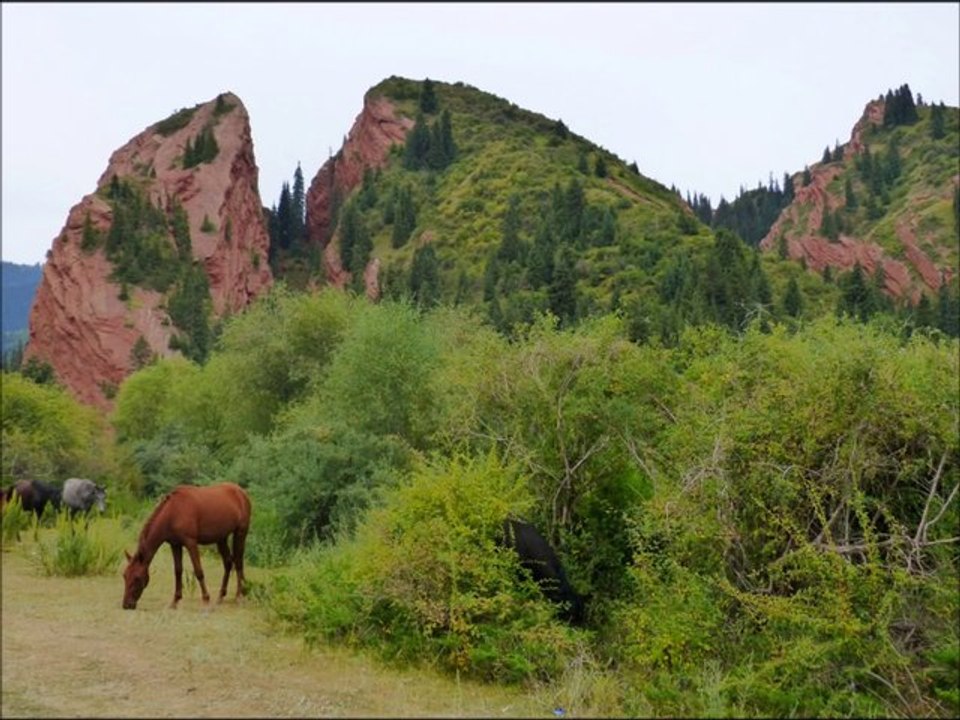 KIRGHIZSTAN - Jeti Ogouz