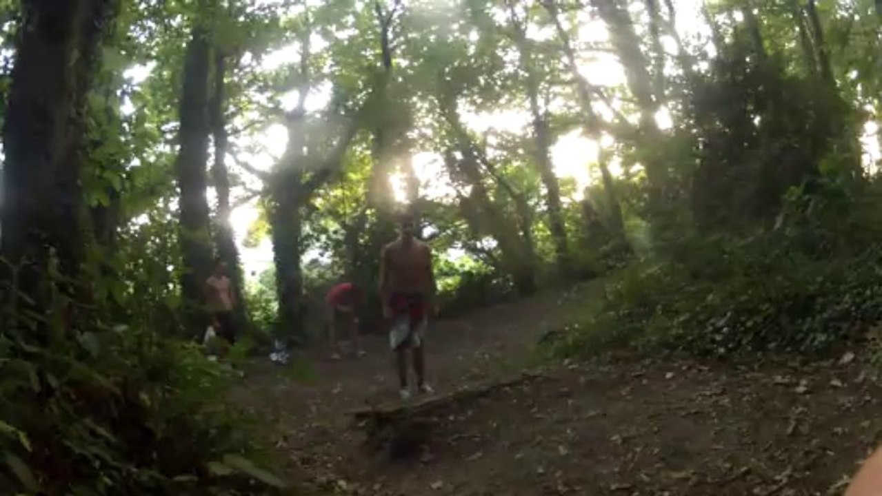 phoenix vannes step by step