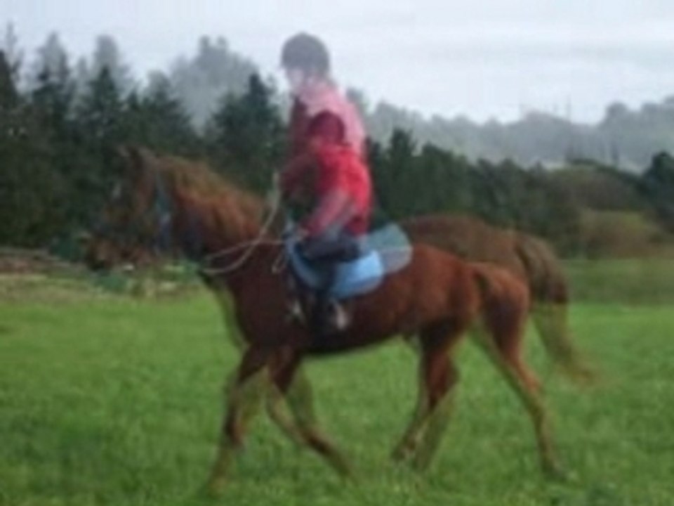 nina mon partenaire particulier