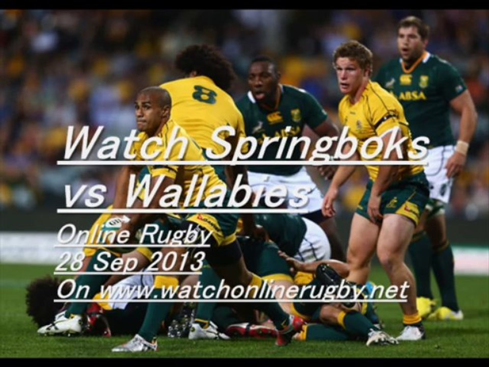 Online Rugby Springboks vs Wallabies