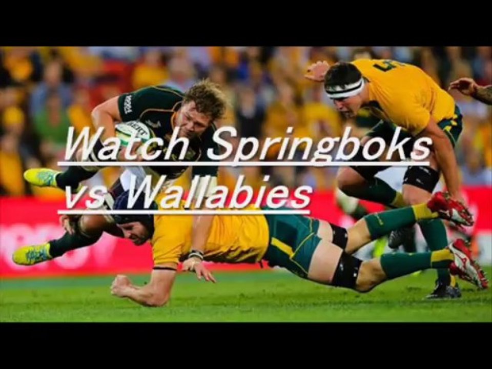 Springboks vs Wallabies Live Rugby
