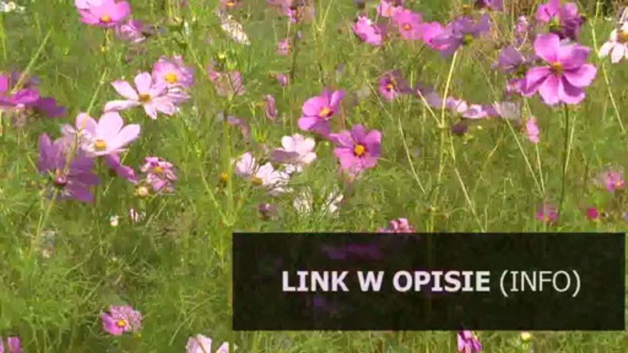 diagnoza studium przypadku