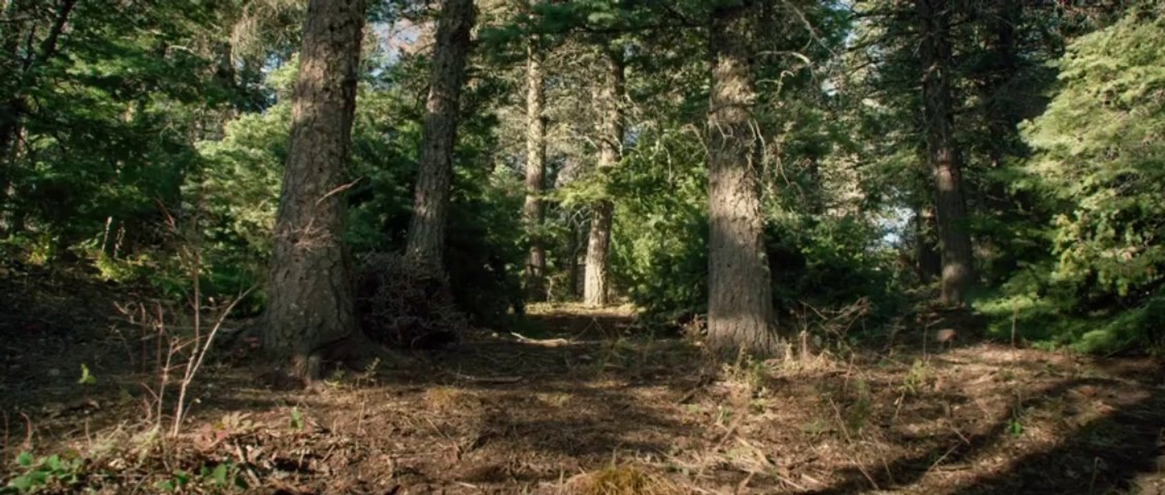 Lone Survivor Trailer