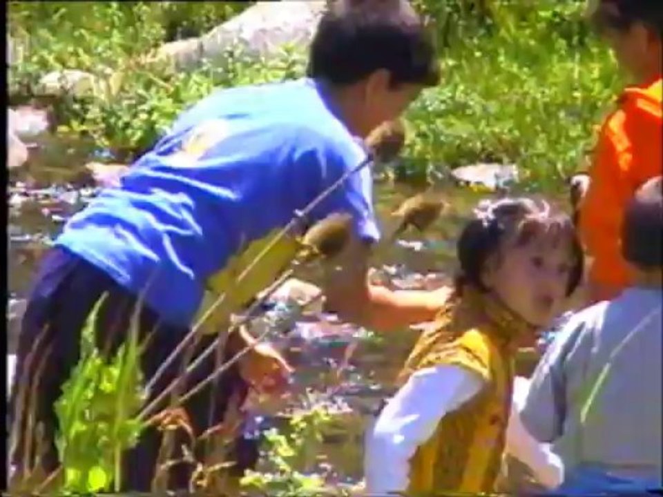 daren yayla 2000 şenlik