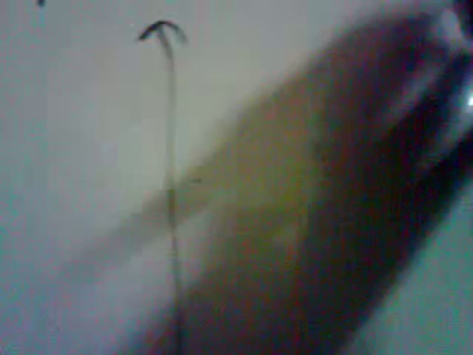 Quadratic Roots: Nature of Roots Explained 🌱