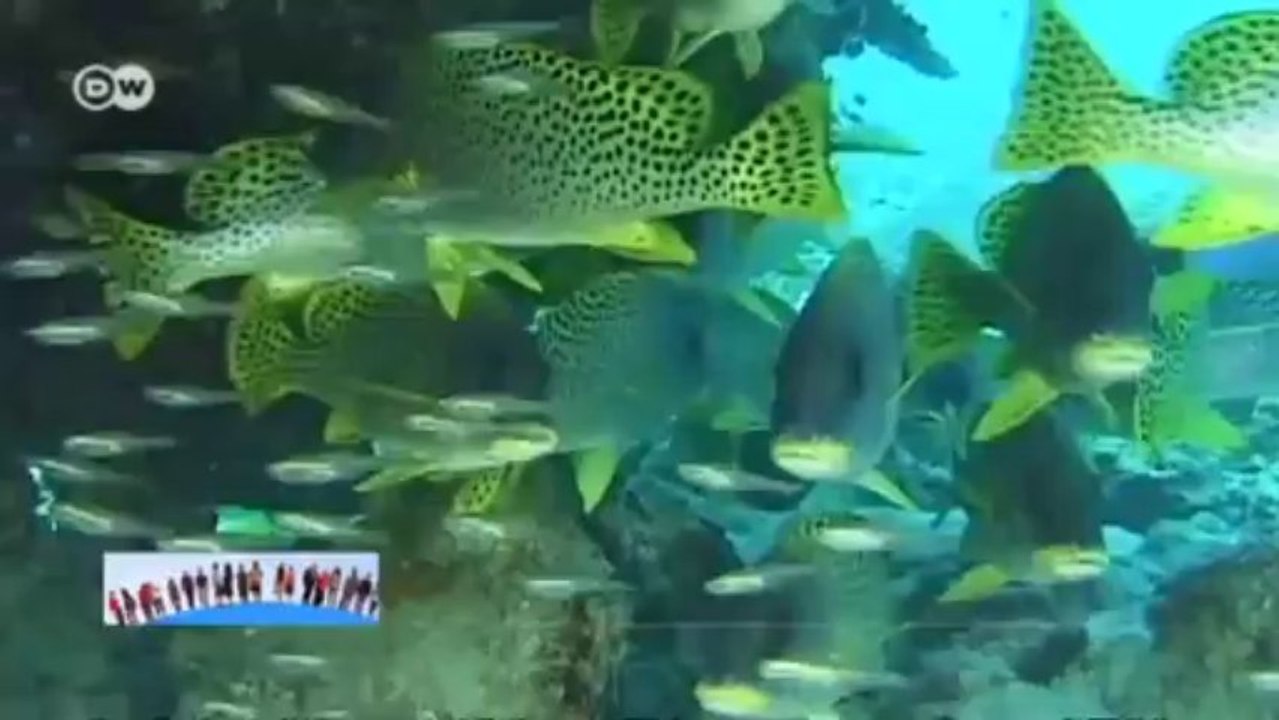 Erde 2100 - was passiert, wenn wir so weitermachen? | Global 3000