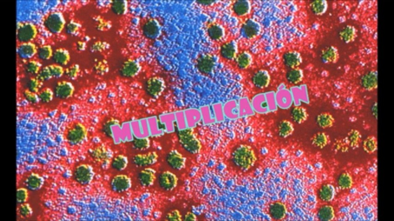 Exposición de M I C R O B I O L O G Í A