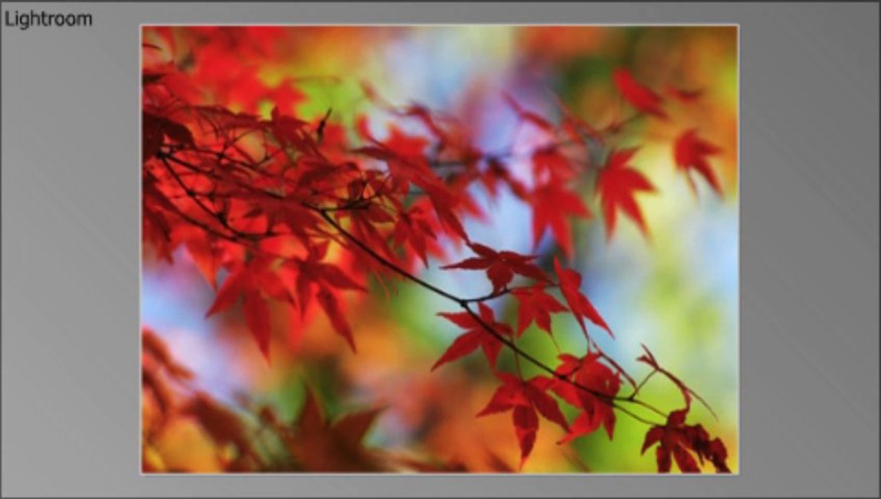 Backing up NS cryptographic keys