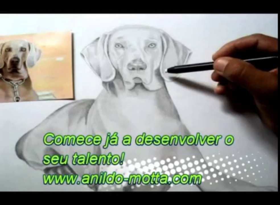Desenhos de cães aulas grátis passo a passo
