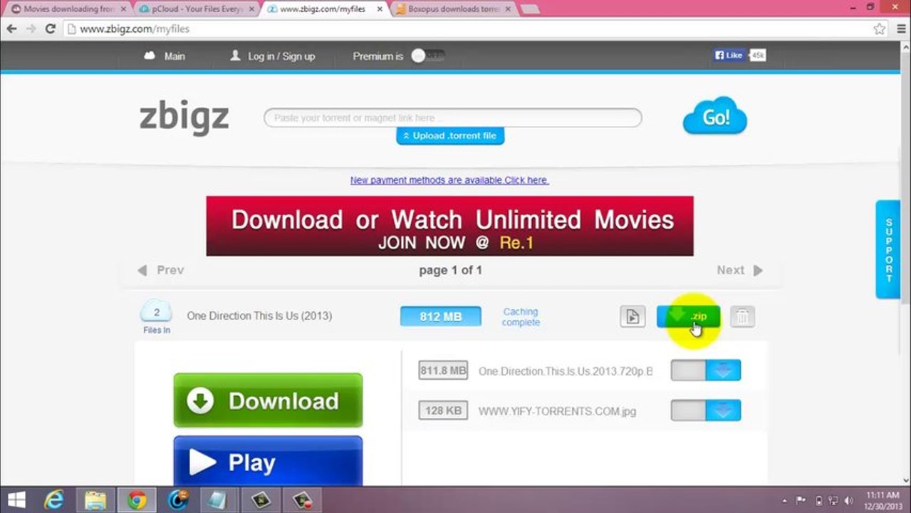 How to download torrent files using IDM
