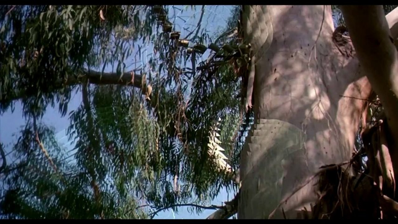 BlackVenom Ash - Best Of DubStep!! Clap [Video]