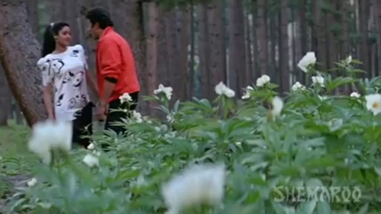 Oongli Mein Angoothi Angoothi Mein Nagina - Sridevi - Sunny Deol - Ram Avataar