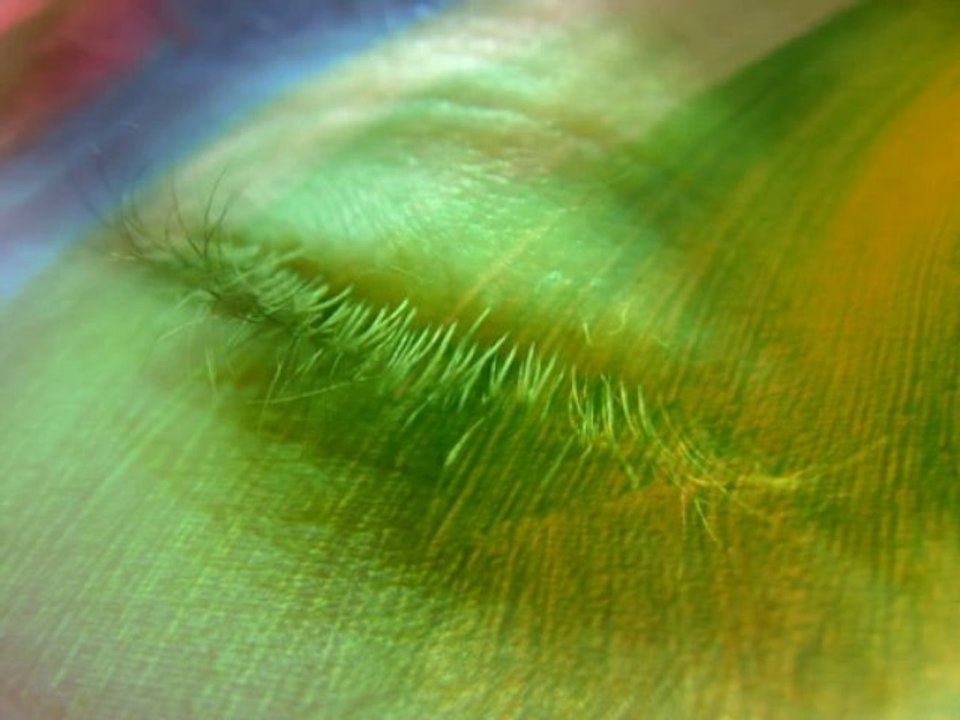 To Morpheus (alternative rock song)