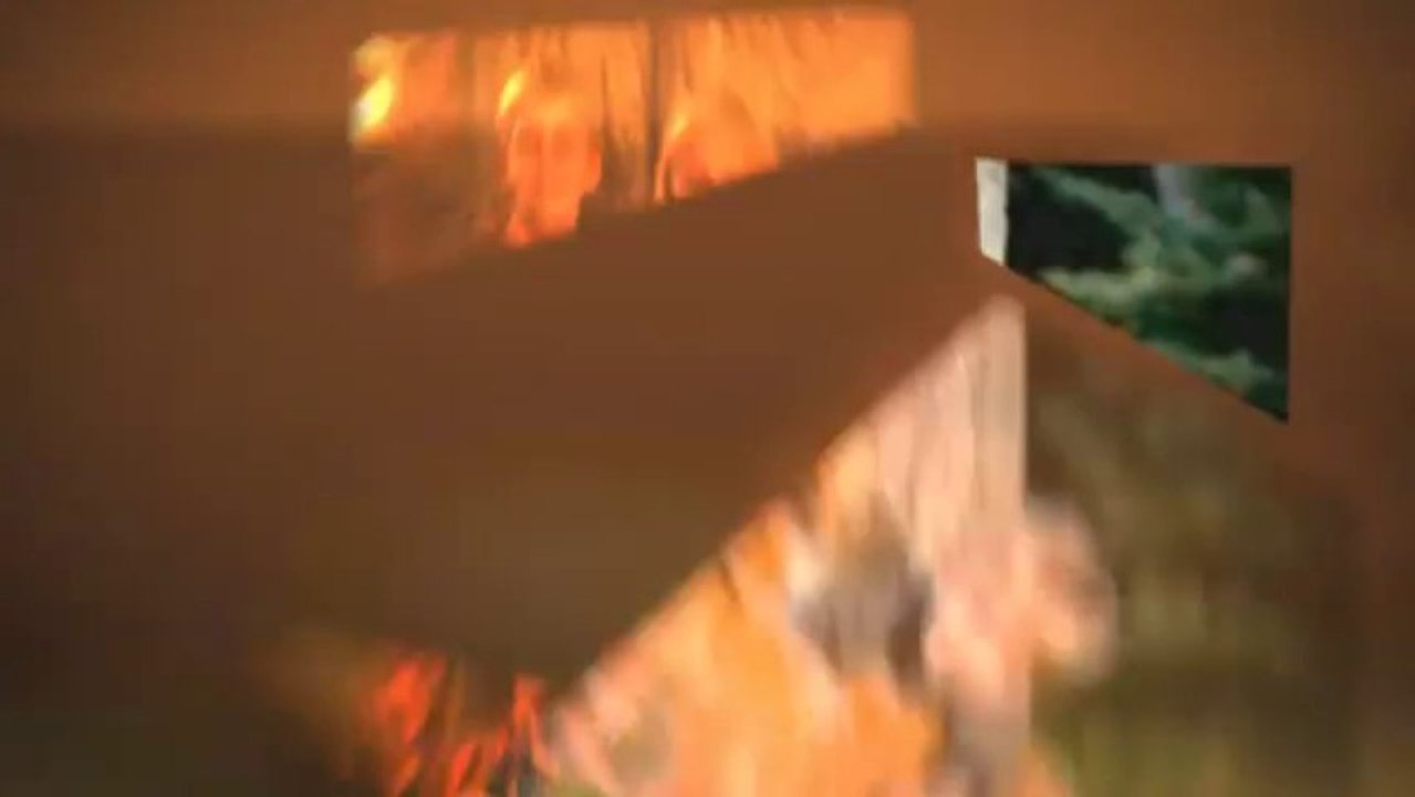 Why Dog Training Is Essential for a Happy, Well-Behaved Pet 🐶