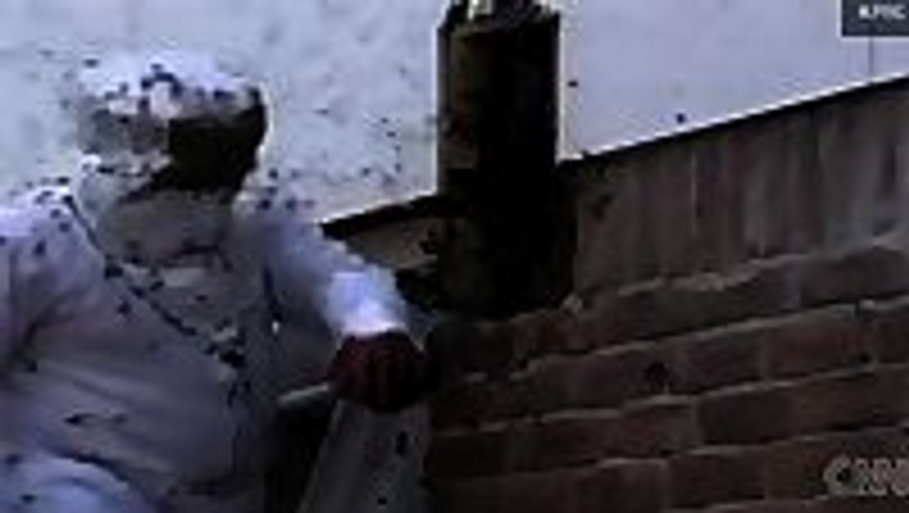 Nightmare fuel - bees turn woman's house into giant hive