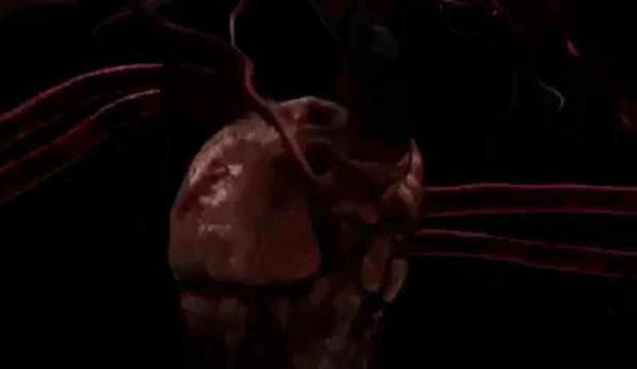 What are The Disadvantages of Smoking on The Human Body