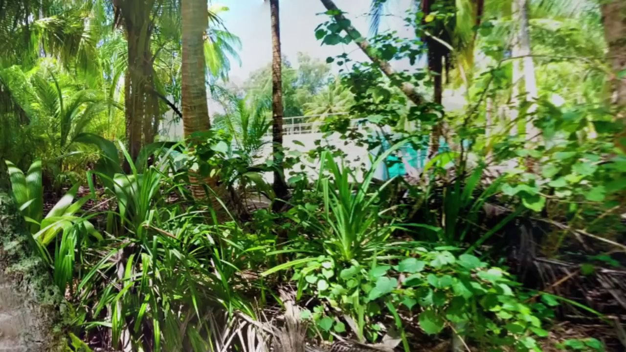 Photo Sphere Android