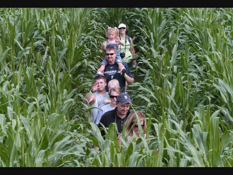 ZELLWOOD HD: A Terrifying Country Trip 🎬